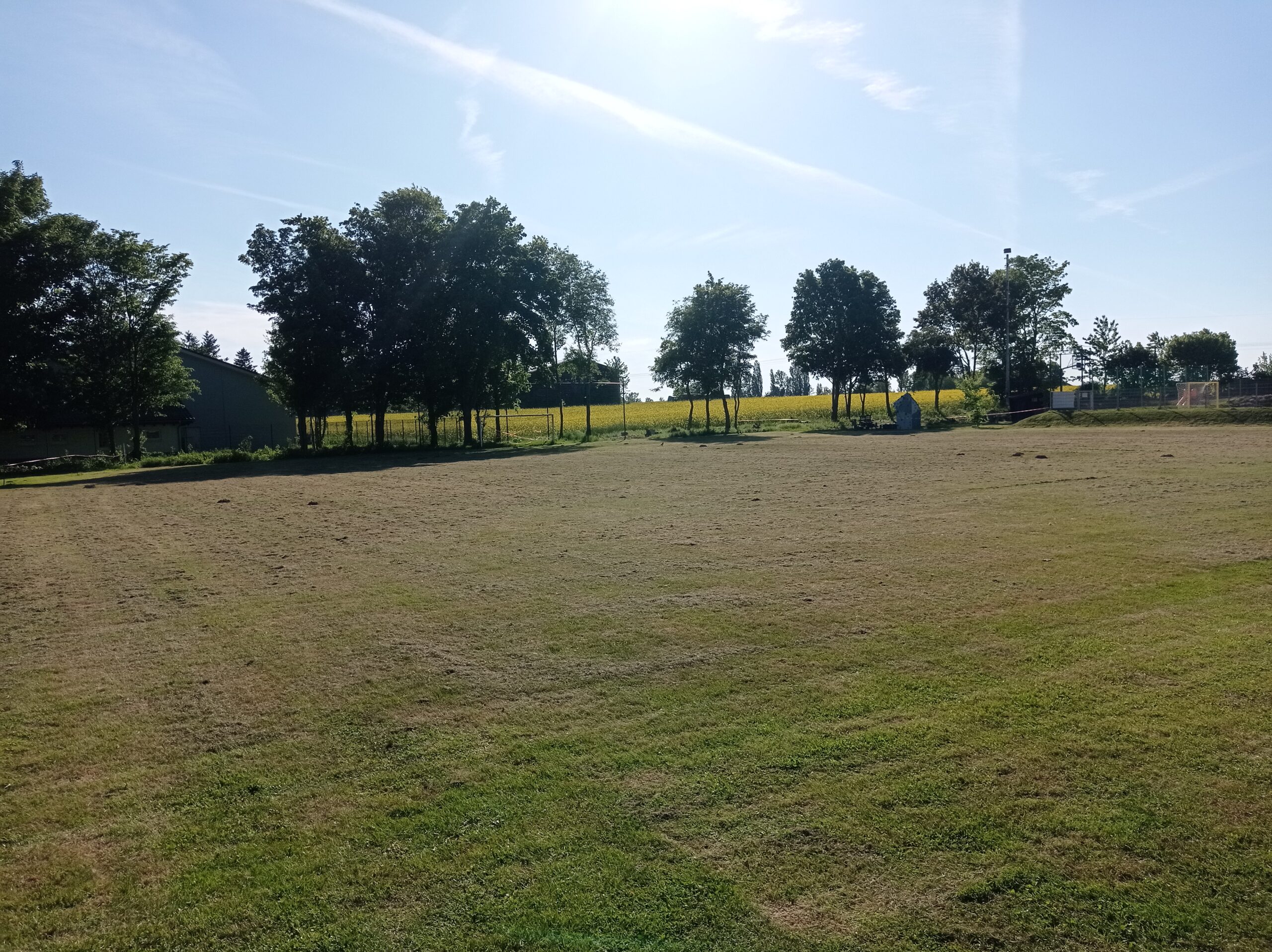 Auch große Rasenflächen sind kein Problem